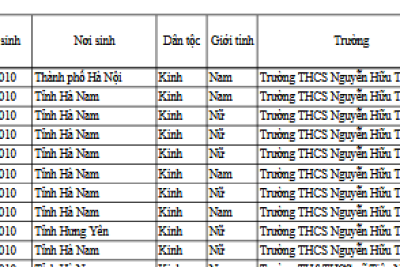 Kết quả xét tốt nghiệp THCS năm học 2024 – 2025